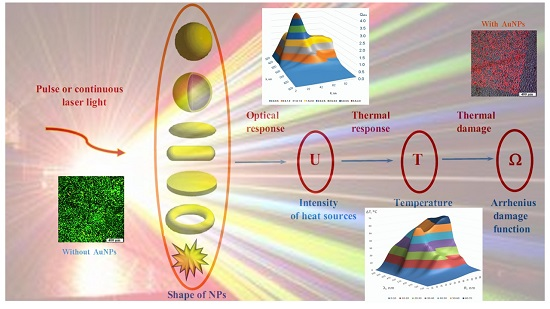 Biophotons in Macro and Micro Universe and their importance | Blog ...