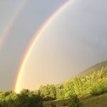 CUM POȚI ADUCE MAI MULTĂ ARMONIE ÎN VIAȚA TA PRIN REIKI?